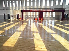 山東沾化第三小學(xué)體育活動(dòng)中心單龍