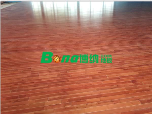 廣東臺(tái)山市郎城汽車(chē)城案例