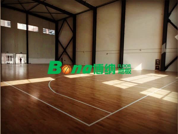 安徽省淮北市太陽城小學(xué)體育館案例