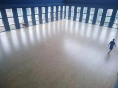 高新區(qū)公安局，楓樺木A級主副龍骨